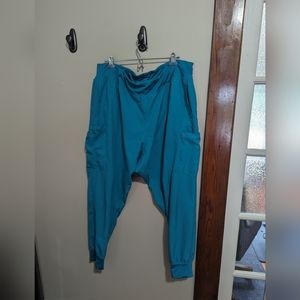 Wonder wink scrub joggers